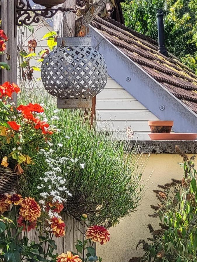 Poesie En Partage Bed & Breakfast Giromagny ภายนอก รูปภาพ